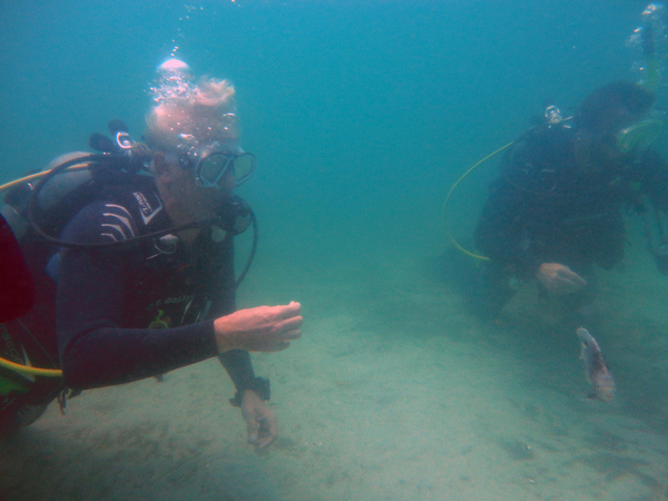 Dayo Scuba Center LLC, Orlando Florida www.dayo.com