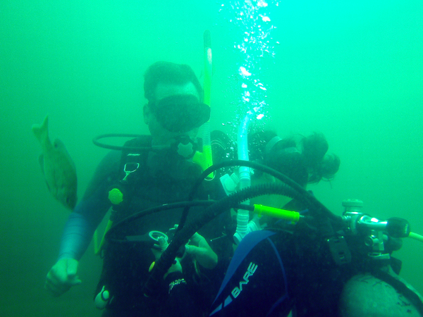 Dayo Scuba Center LLC, Orlando Florida www.dayo.com