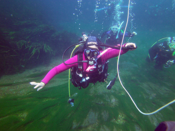 Dayo Scuba Center LLC, Orlando Florida www.dayo.com