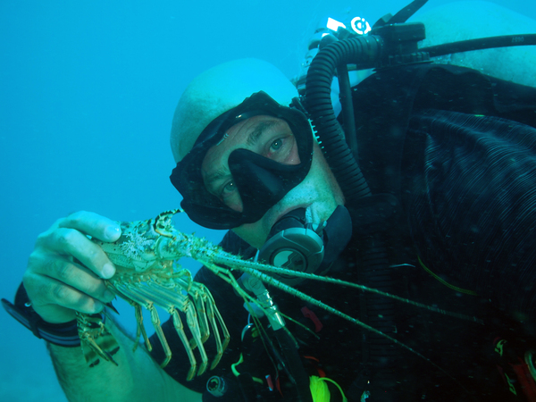 Dayo Scuba Center LLC, Orlando Florida www.dayo.com