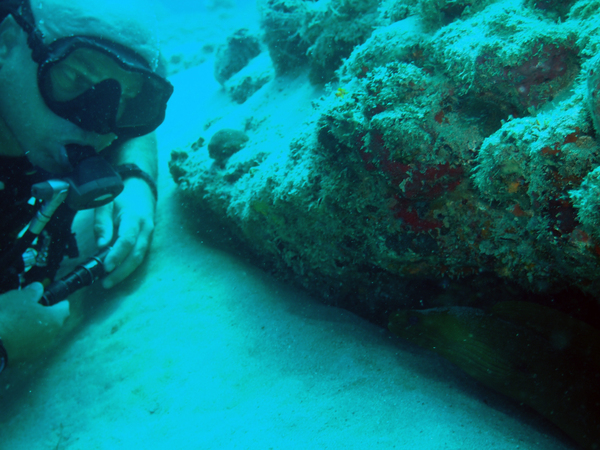 Dayo Scuba Center LLC, Orlando Florida www.dayo.com