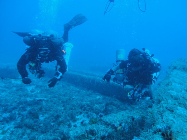 Dayo Scuba Center LLC, Orlando Florida www.dayo.com