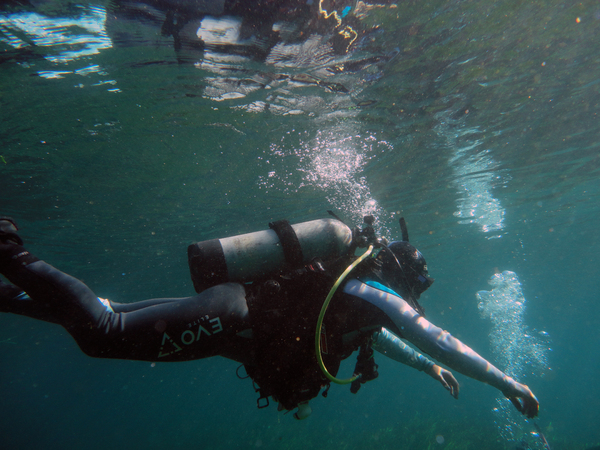 Dayo Scuba Center LLC, Orlando Florida www.dayo.com