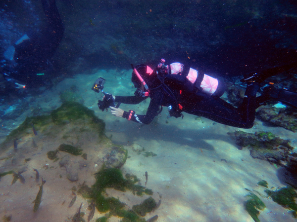 Dayo Scuba Center LLC, Orlando Florida www.dayo.com