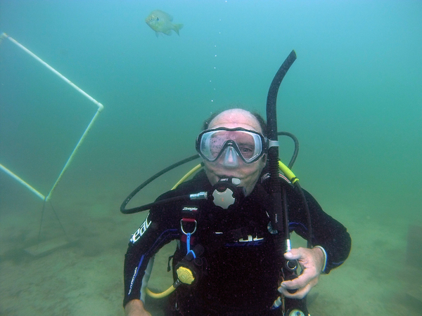 Dayo Scuba Center LLC, Orlando Florida www.dayo.com