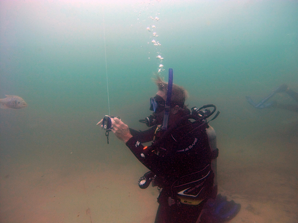 Dayo Scuba Center LLC, Orlando Florida www.dayo.com