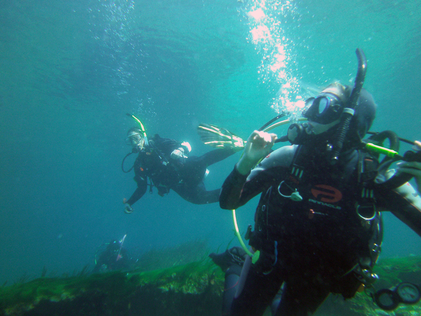 Dayo Scuba Center LLC, Orlando Florida www.dayo.com