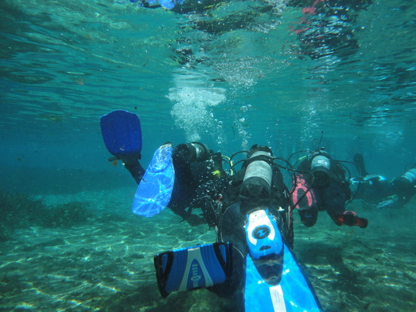 Dayo Scuba Center LLC, Orlando Florida www.dayo.com