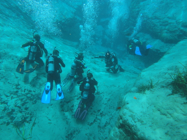 Dayo Scuba Center LLC, Orlando Florida www.dayo.com