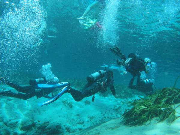 Dayo Scuba Center LLC, Orlando Florida www.dayo.com