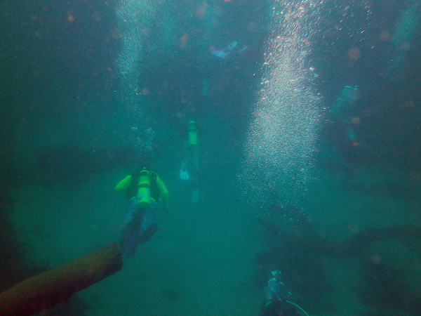 Dayo Scuba Center LLC, Orlando Florida www.dayo.com