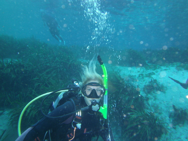 Dayo Scuba Center LLC, Orlando Florida www.dayo.com