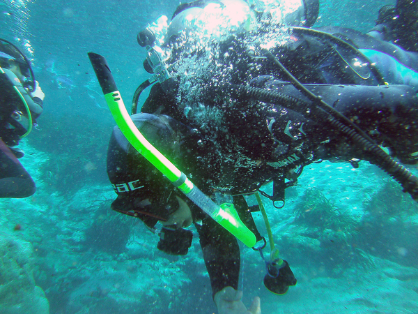 Dayo Scuba Center LLC, Orlando Florida www.dayo.com