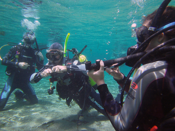 Dayo Scuba Center LLC, Orlando Florida www.dayo.com