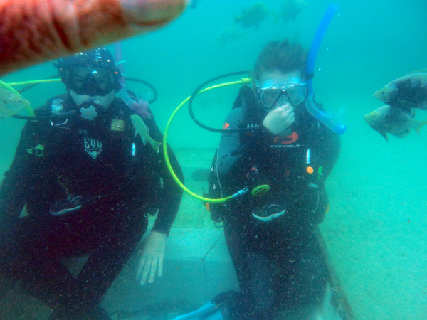 Dayo Scuba Center LLC, Orlando Florida www.dayo.com