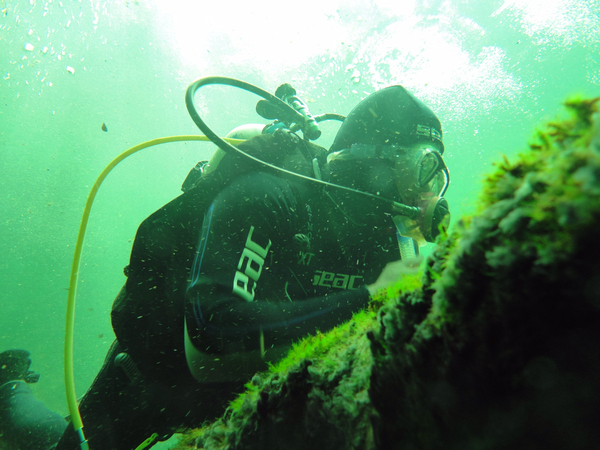 Dayo Scuba Center LLC, Orlando Florida www.dayo.com