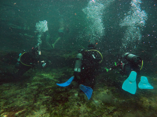 Dayo Scuba Center LLC, Orlando Florida www.dayo.com