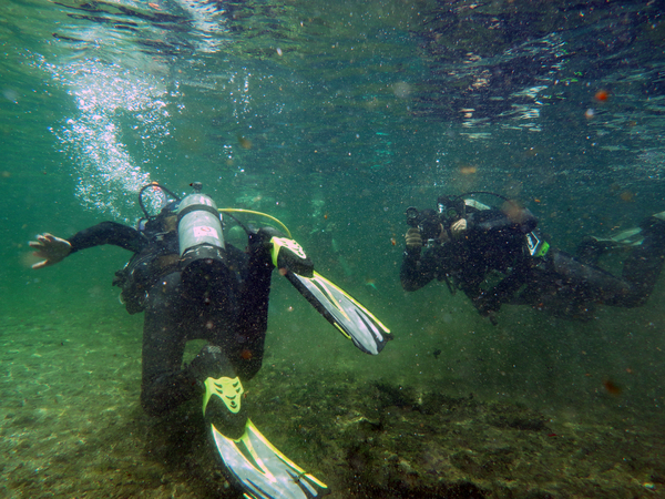 Dayo Scuba Center LLC, Orlando Florida www.dayo.com