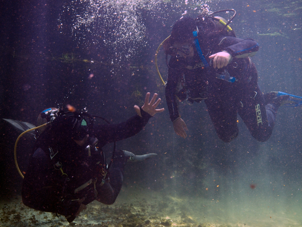 Dayo Scuba Center LLC, Orlando Florida www.dayo.com