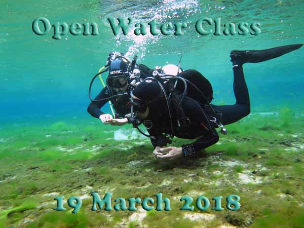 Dayo Scuba Center LLC, Orlando Florida www.dayo.com