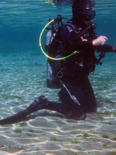 Dayo Scuba Center LLC, Orlando Florida www.dayo.com