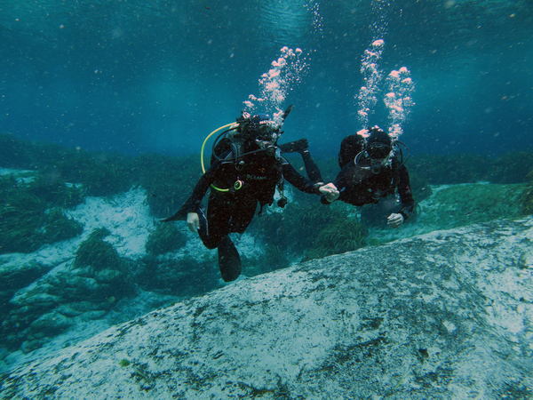 Dayo Scuba Center LLC, Orlando Florida www.dayo.com