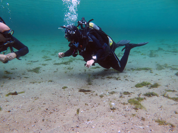 Dayo Scuba Center LLC, Orlando Florida www.dayo.com