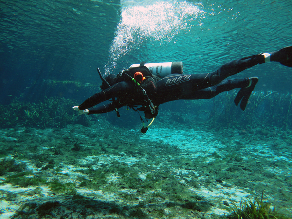 Dayo Scuba Center LLC, Orlando Florida www.dayo.com