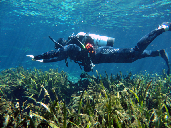 Dayo Scuba Center LLC, Orlando Florida www.dayo.com