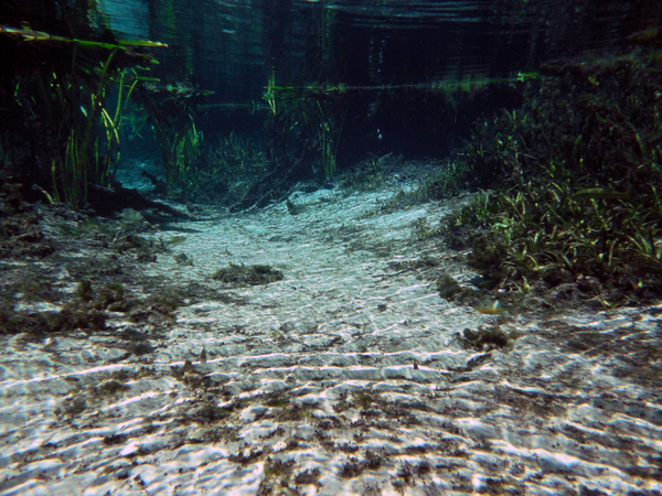 Dayo Scuba Center LLC, Orlando Florida www.dayo.com