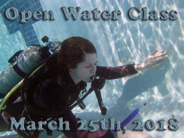 Dayo Scuba Center LLC, Orlando Florida www.dayo.com