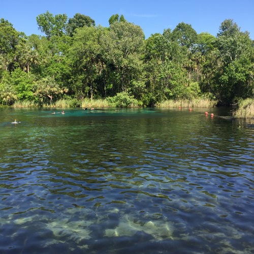 Dayo Scuba Center LLC, Orlando Florida www.dayo.com