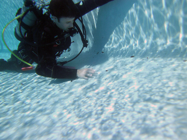 Dayo Scuba Center LLC, Orlando Florida www.dayo.com