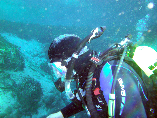 Dayo Scuba Center LLC, Orlando Florida www.dayo.com
