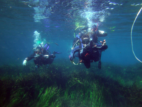 Dayo Scuba Center LLC, Orlando Florida www.dayo.com