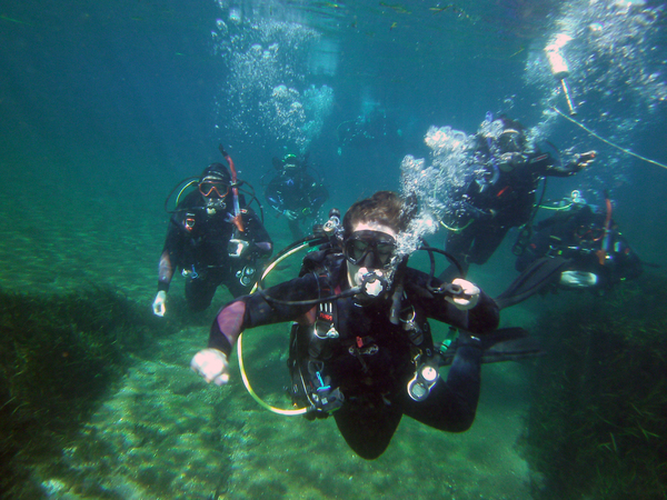 Dayo Scuba Center LLC, Orlando Florida www.dayo.com