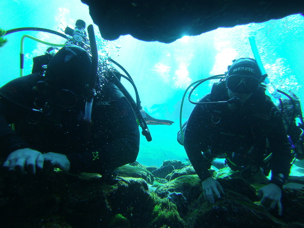 Dayo Scuba Center LLC, Orlando Florida www.dayo.com