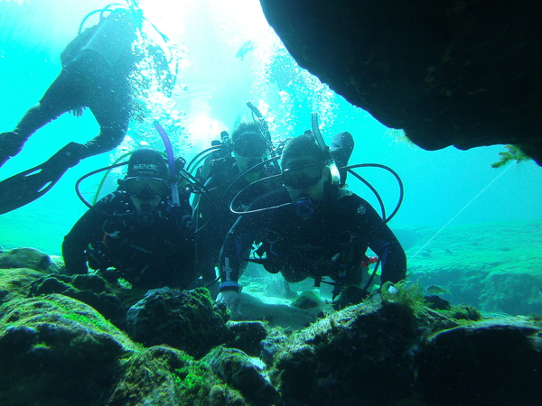 Dayo Scuba Center LLC, Orlando Florida www.dayo.com