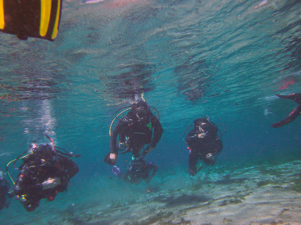 Dayo Scuba Center LLC, Orlando Florida www.dayo.com