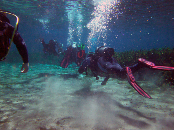 Dayo Scuba Center LLC, Orlando Florida www.dayo.com
