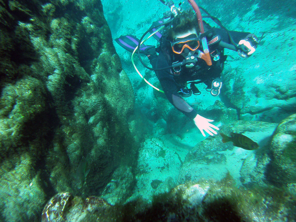 Dayo Scuba Center LLC, Orlando Florida www.dayo.com