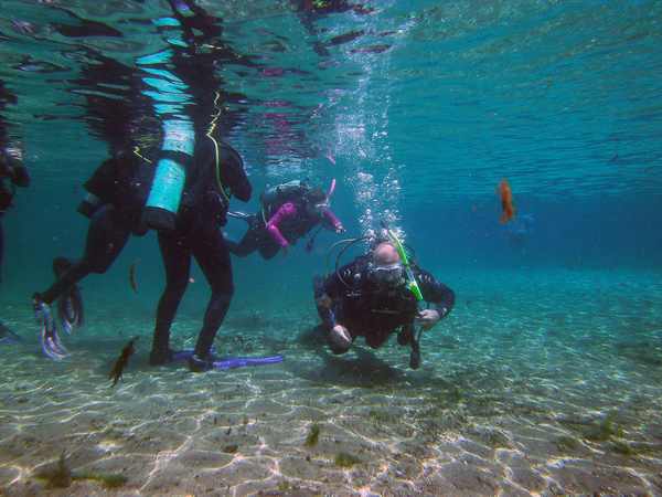 Dayo Scuba Center LLC, Orlando Florida www.dayo.com