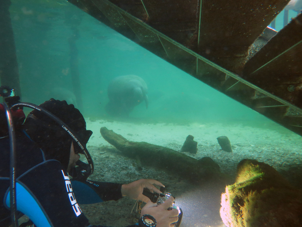 Dayo Scuba Center LLC, Orlando Florida www.dayo.com