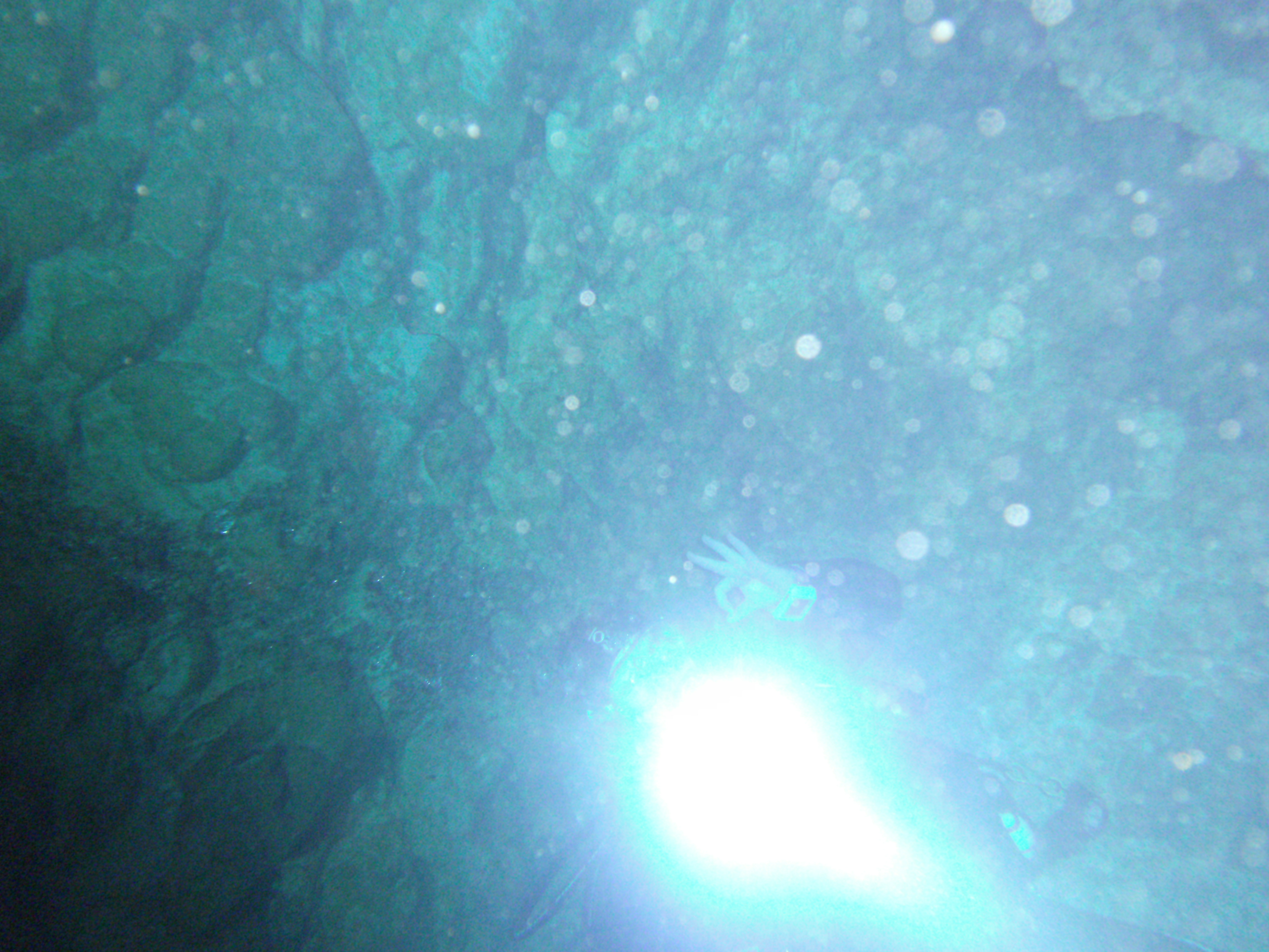 Dayo Scuba Center LLC, Orlando Florida www.dayo.com
