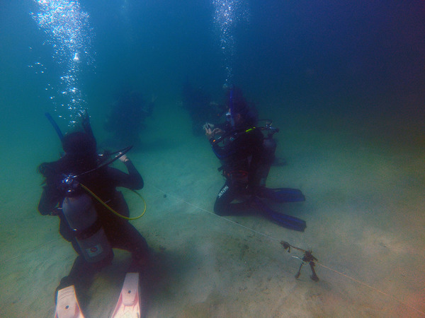 Dayo Scuba Center LLC, Orlando Florida www.dayo.com