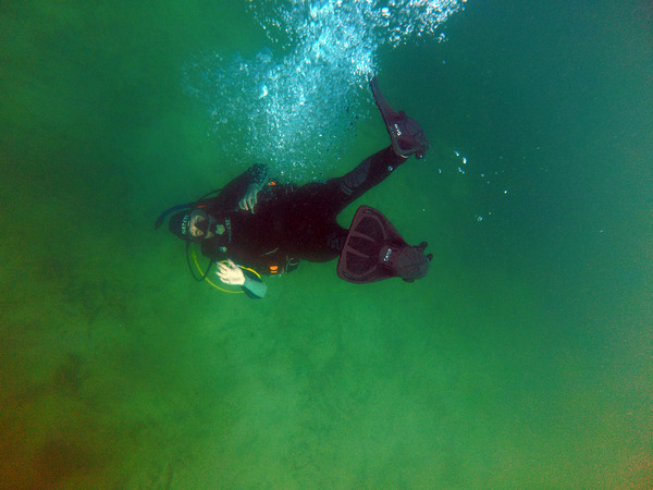 Dayo Scuba Center LLC, Orlando Florida www.dayo.com