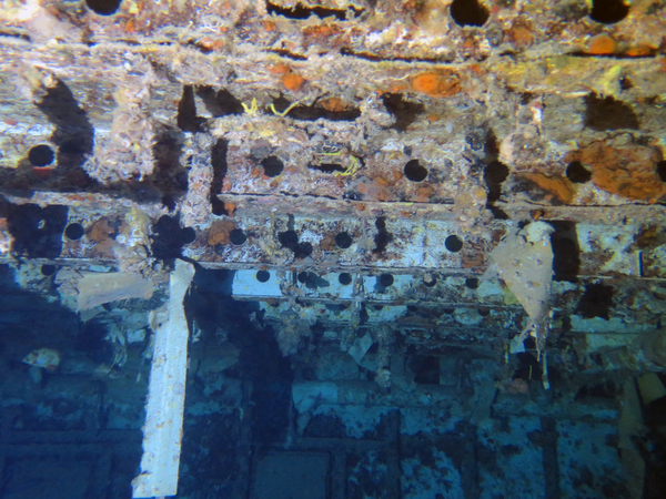 Dayo Scuba Center LLC, Orlando Florida www.dayo.com