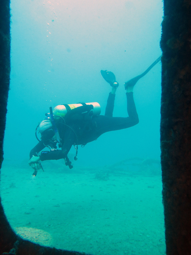 Dayo Scuba Center LLC, Orlando Florida www.dayo.com