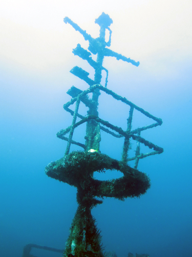 Dayo Scuba Center LLC, Orlando Florida www.dayo.com