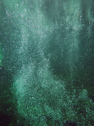 Dayo Scuba Center LLC, Orlando Florida www.dayo.com